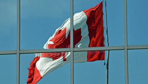 Канада заявила о планах принять больше мигрантов в 2016 году  - ảnh 1